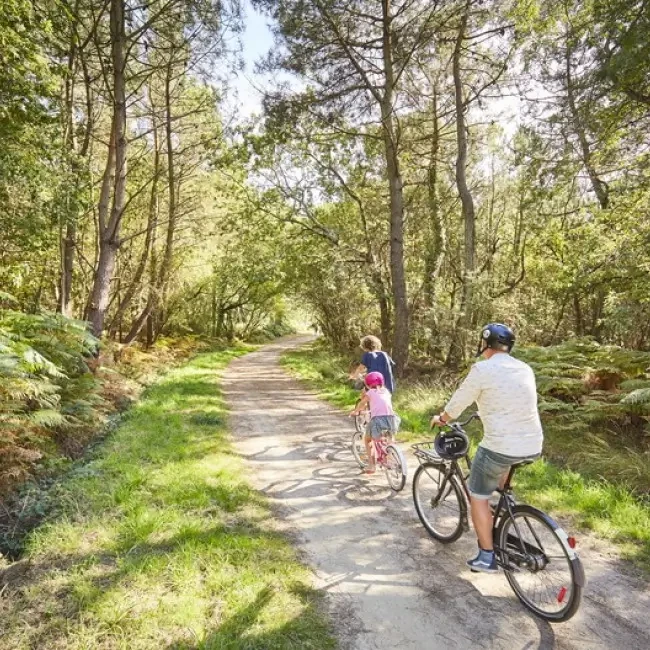 Les Landes de Lanvaux et ses chemins cyclos près de l'hôtel Kara